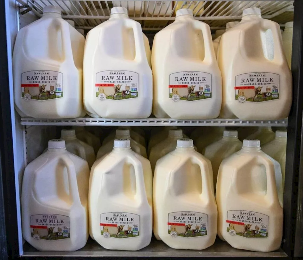 Raw Milk Controversy: A Public Health Battleground