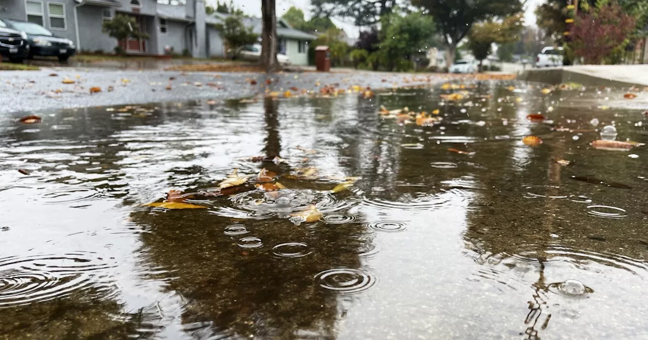 Light Rain Expected in Southern California, But Wildfire Risk Remains