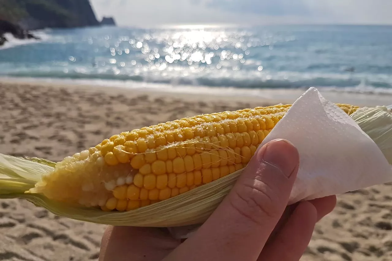 El Maíz: Un alimento versátil y nutritivo