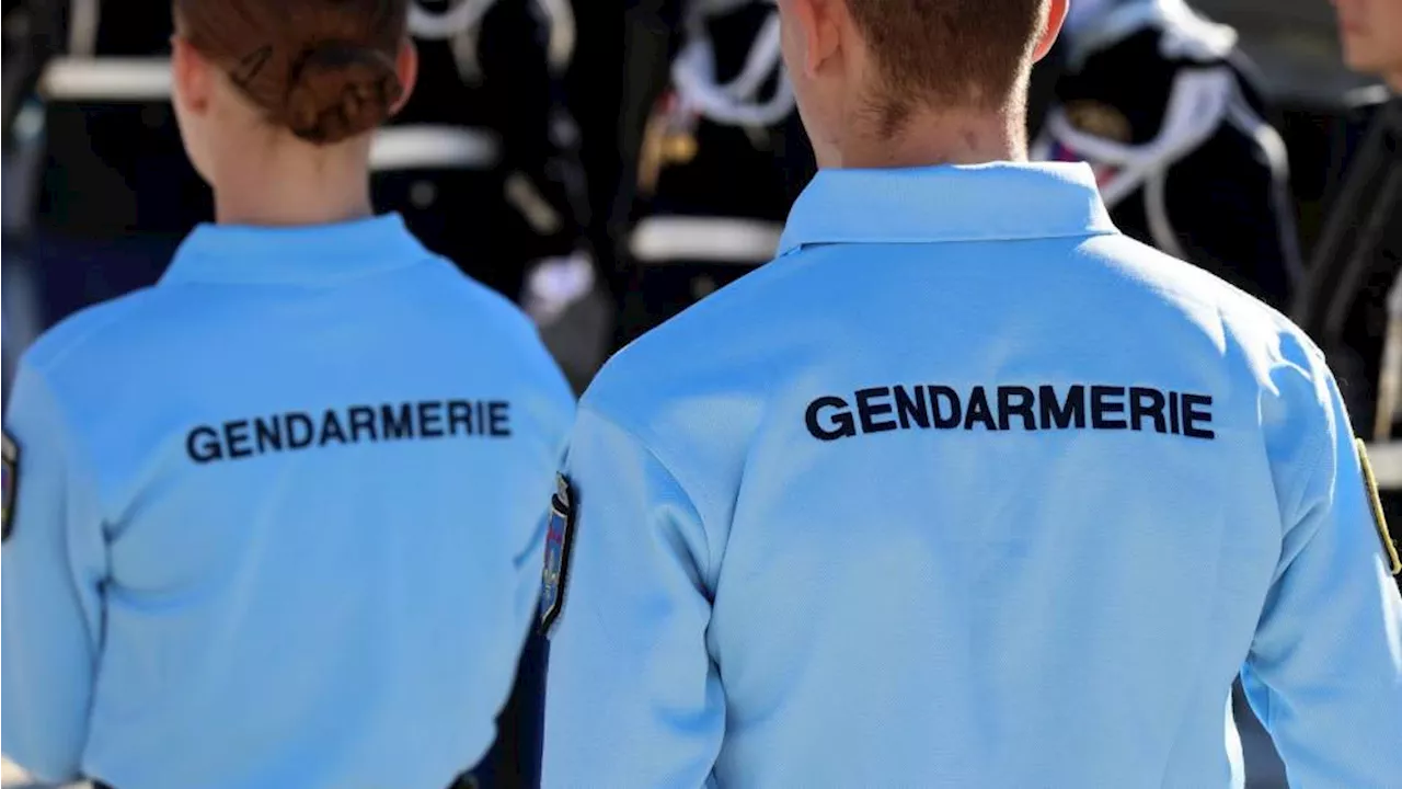 10000 gendarmes blessés en France en 2024 dans 'le cadre de leur service', selon le patron de la gendarmerie