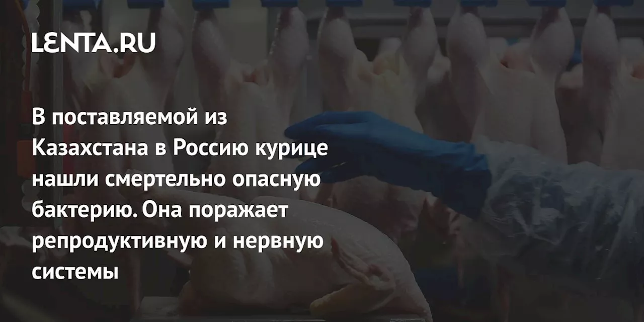 Листерия обнаружена в импортном мясе из Казахстана