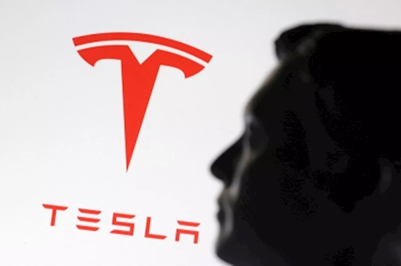 Tesla Reports Lower Profits but Confirms 2025 Growth Plans Amidst Musk's Political Controversy