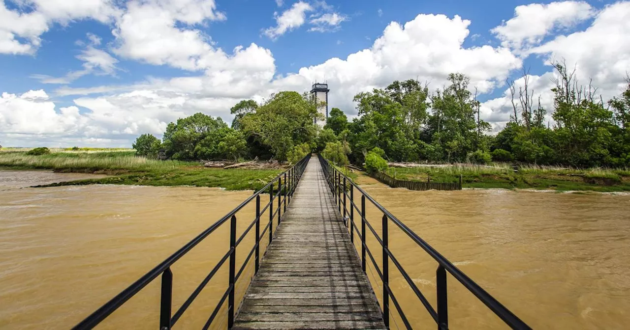 Près de Bordeaux, les îles de l’Estuaire de la Gironde surprennent par leurs richesses naturelles