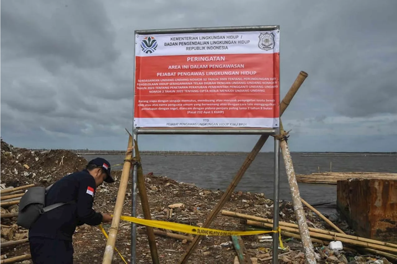 Pagar Laut Misterius dan Dampaknya Bagi Ekosistem Laut