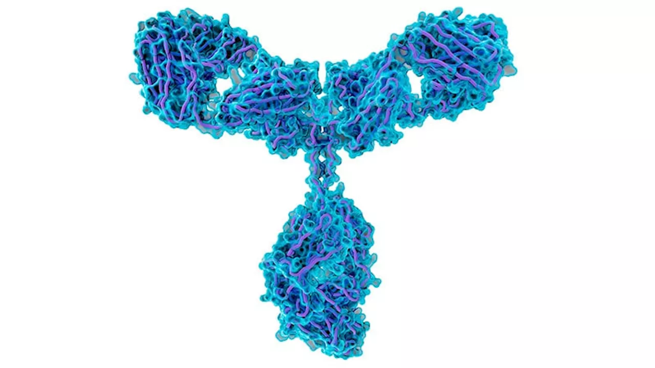 Myositis Antibody Predictive Value Varies by Antibody Type and Intensity