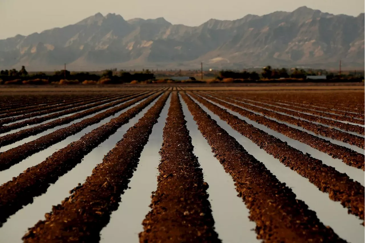 Donald Trump’s California water order does more for farms than wildfires