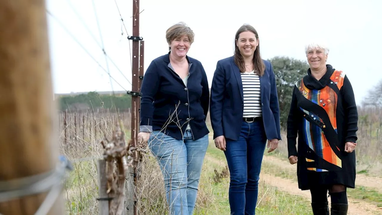 Agriculture : Une ligne d'écoute pour les femmes face aux inégalités