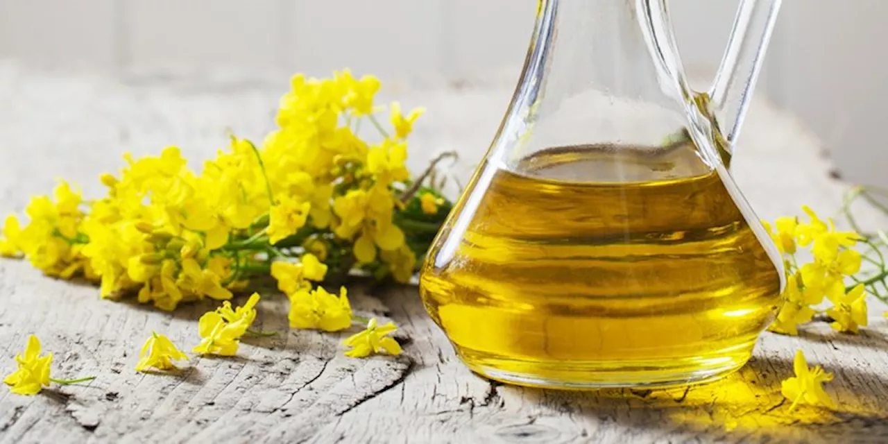 Are Seed Oils Really That Bad? Let's Break It Down