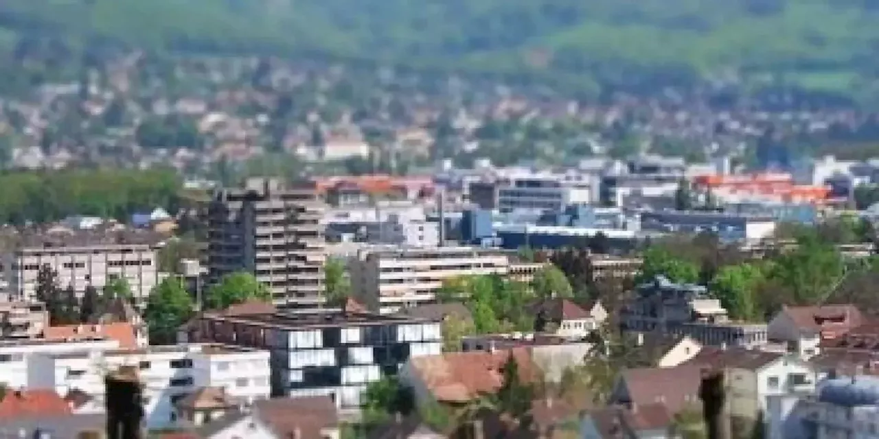 Reinacher Ideen für den neuen Stadtpark werden vorgestellt