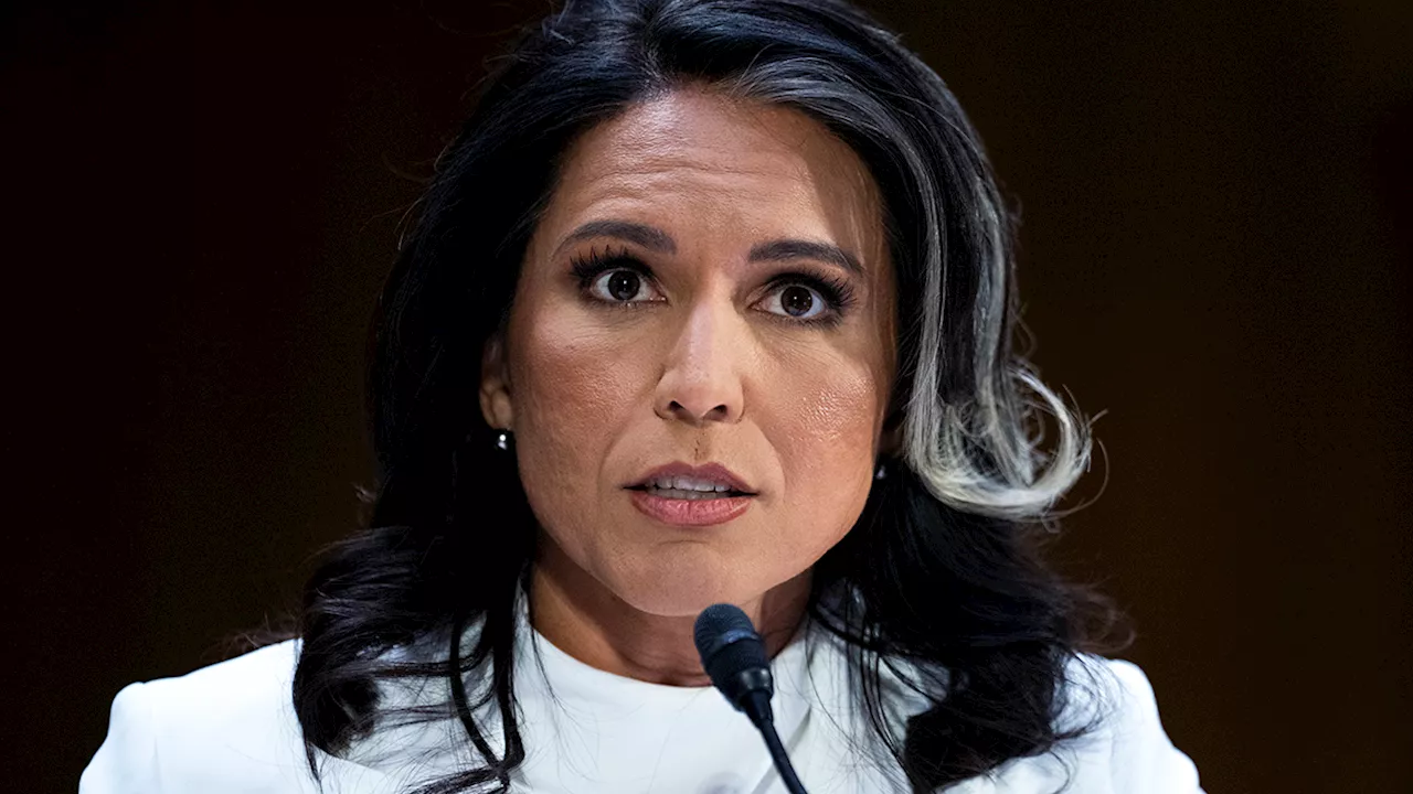 Gabbard Faces Tough Questions on Snowden and Surveillance at DNI Confirmation Hearing