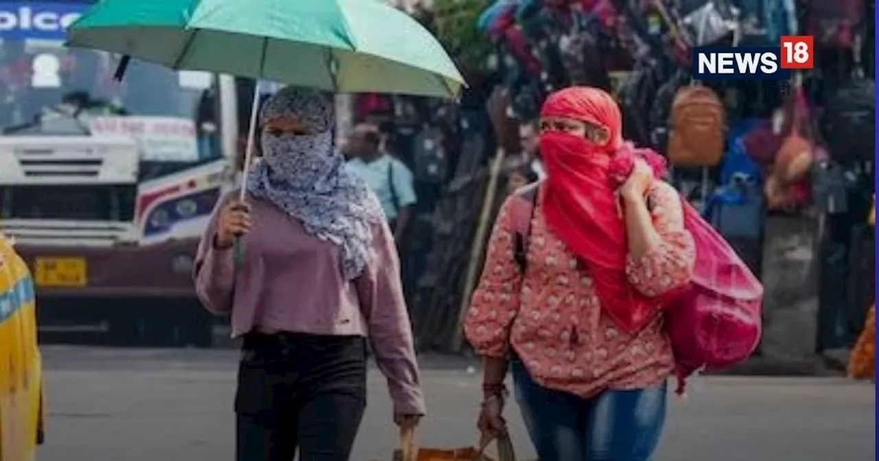 Today Weather: गर्मी या फिर सताएगी ठंड? उत्तर भारत का बढ़ रहा तापमान, दिल्ली में घना कोहरा, पंजाब-हरियाणा म...