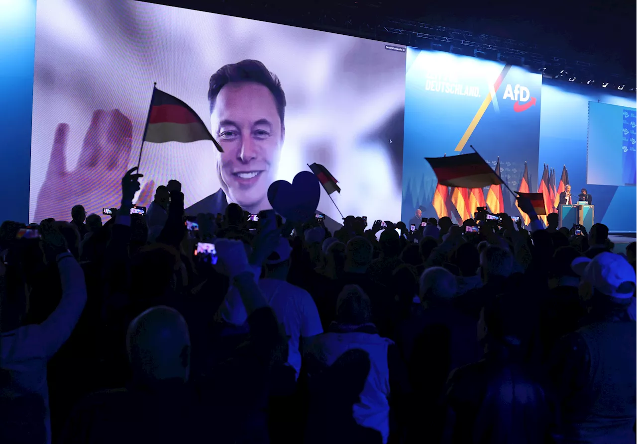 Elon Musk's Support Fuels AfD Victory in German Parliament