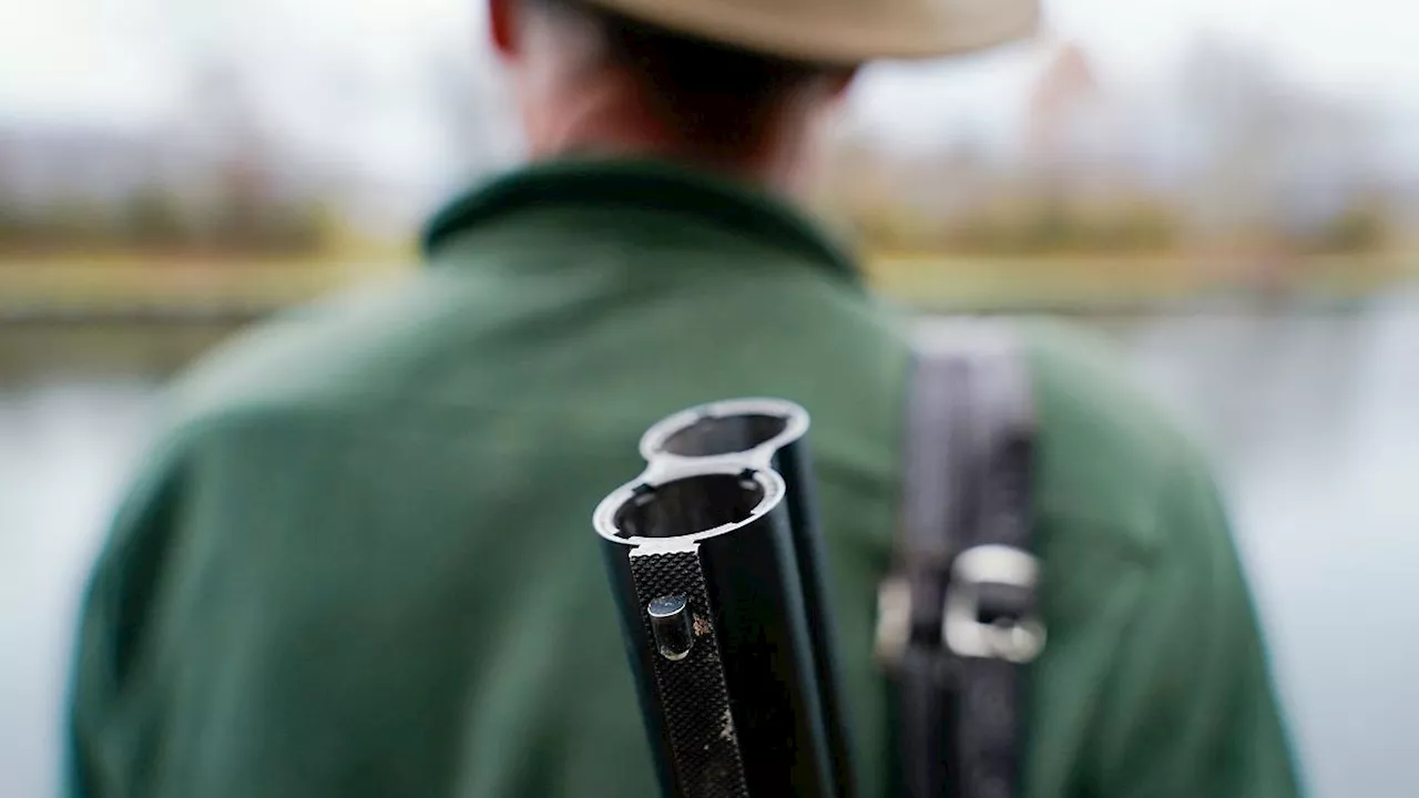 Mehr Wild auf dem Teller: Rheinland-Pfalz jagd rekordhohe Zahl