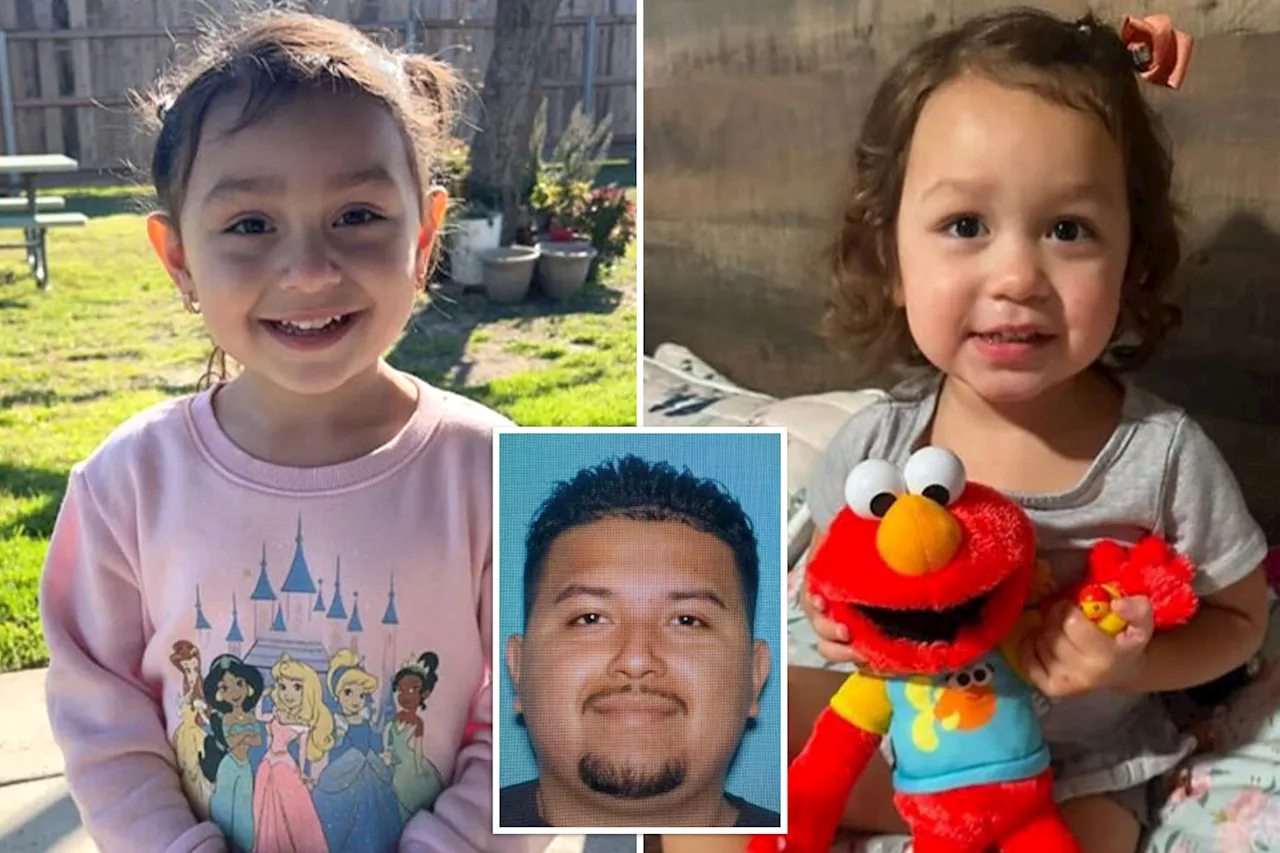 Amber Alert Issued for Two Toddlers After Mother Found Murdered in California Home