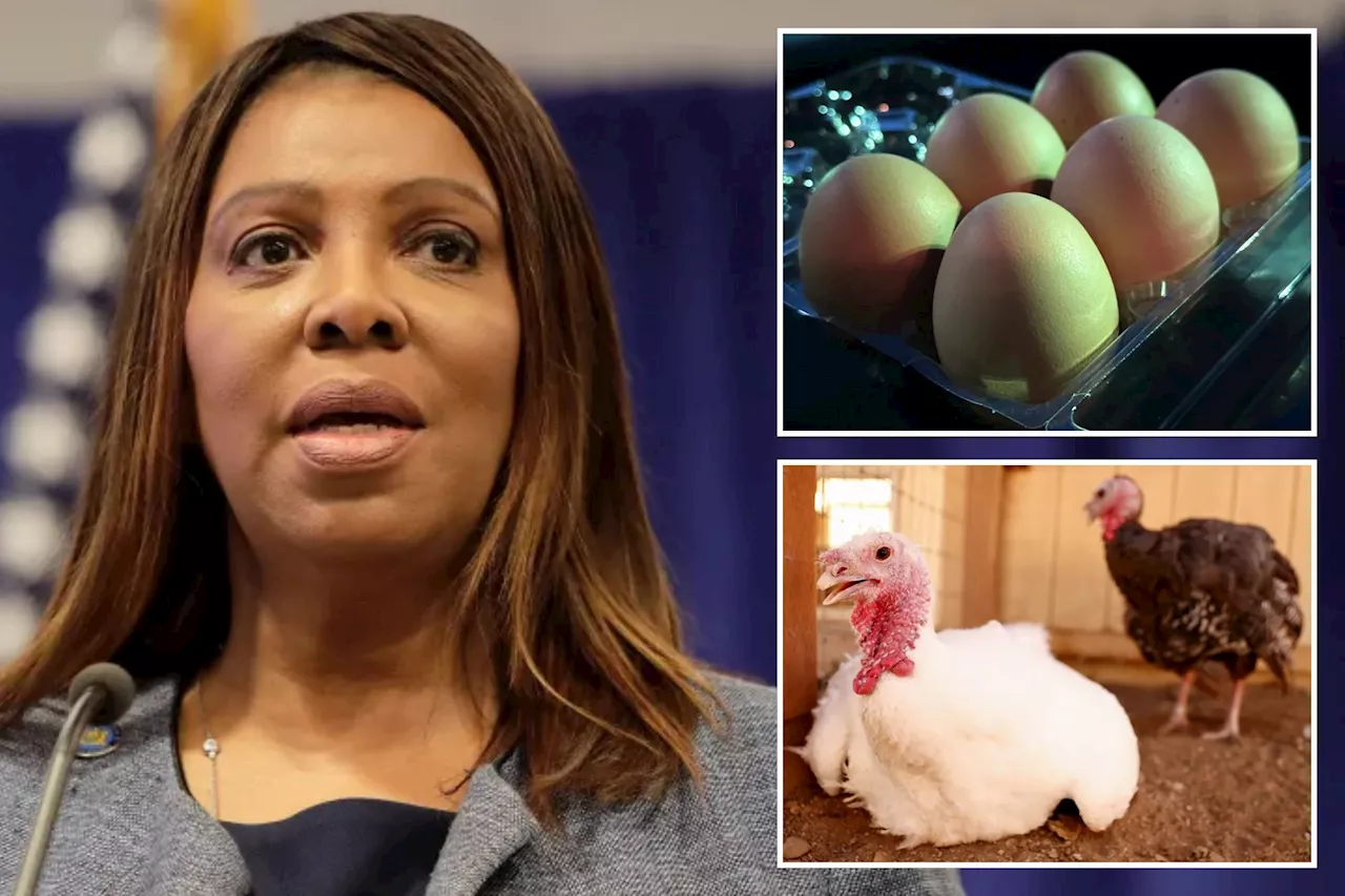 New York Attorney General Warns Against Price Gouging on Eggs Amidst Avian Influenza Outbreak