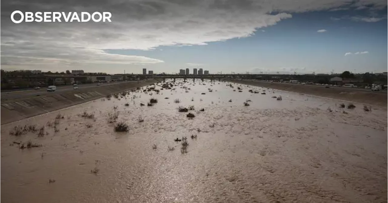 Conselheiro de Valência Pesquisava Vinhos Online Durante Sessão Sobre Reconstrução Após Dana