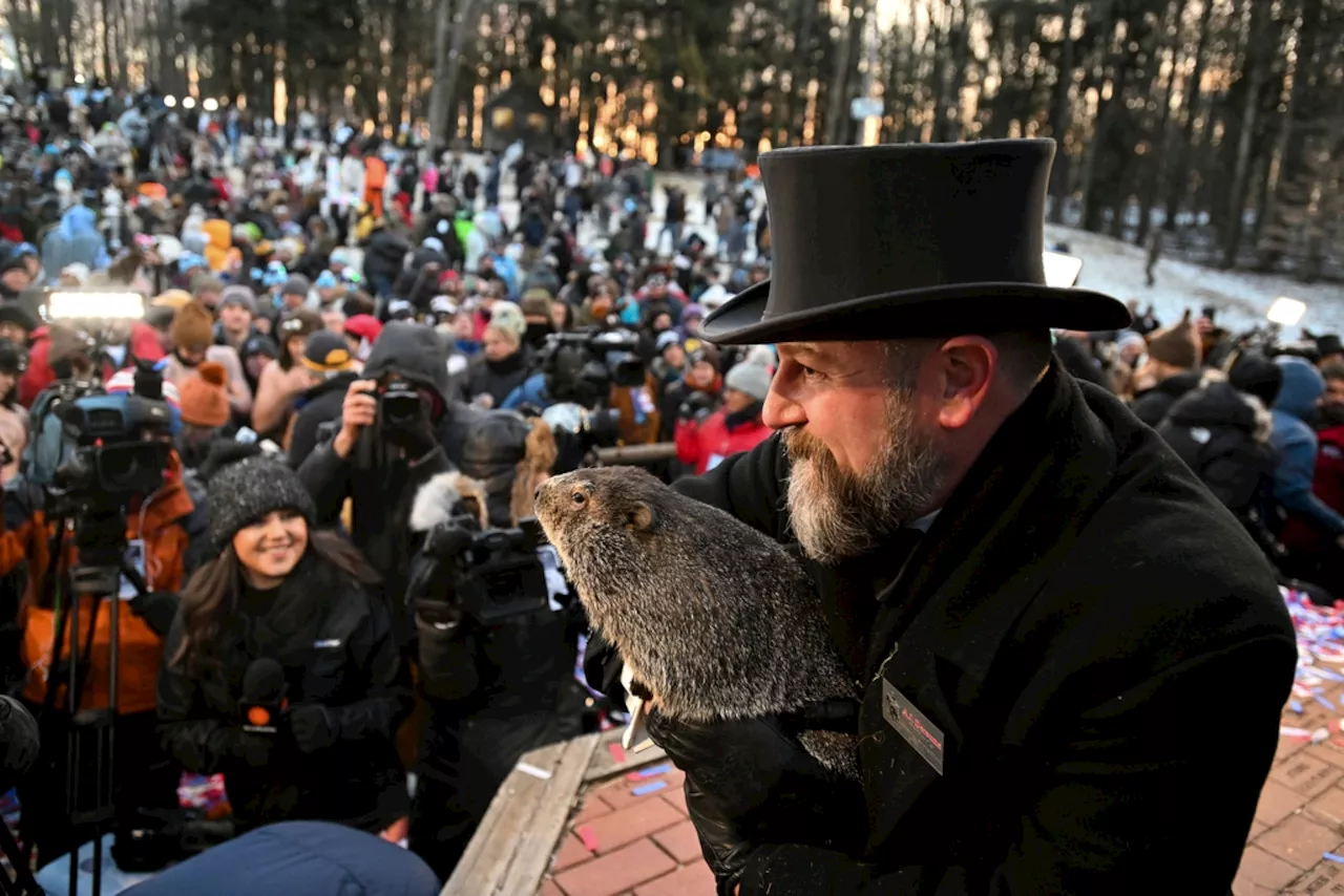 Watch Punxsutawney Phil's Groundhog Day Prediction Live