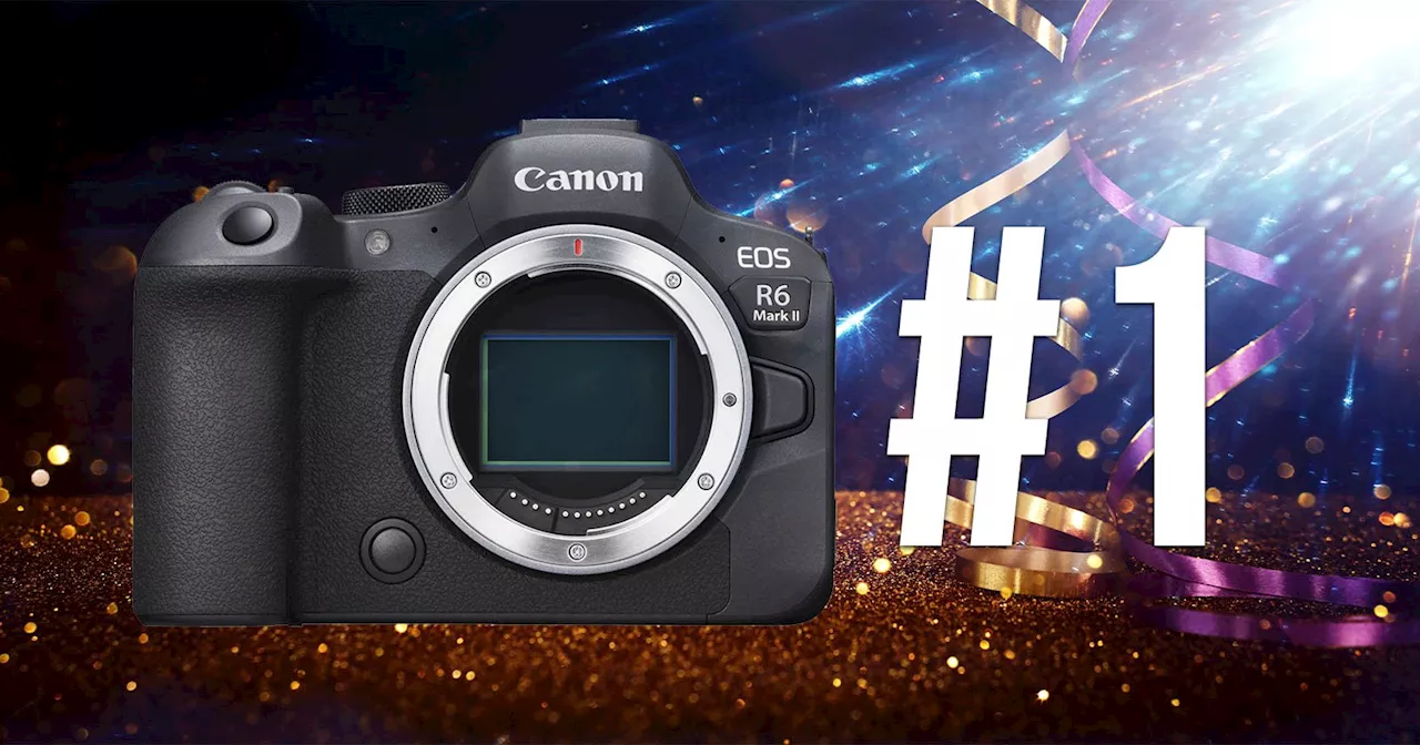 Canon Reigns Supreme in US Camera Market