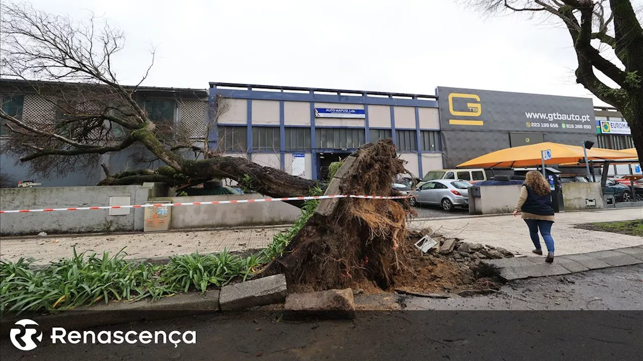 Tempestade Ivo causa caos em Portugal com quedas de árvores, inundações e danos materiais