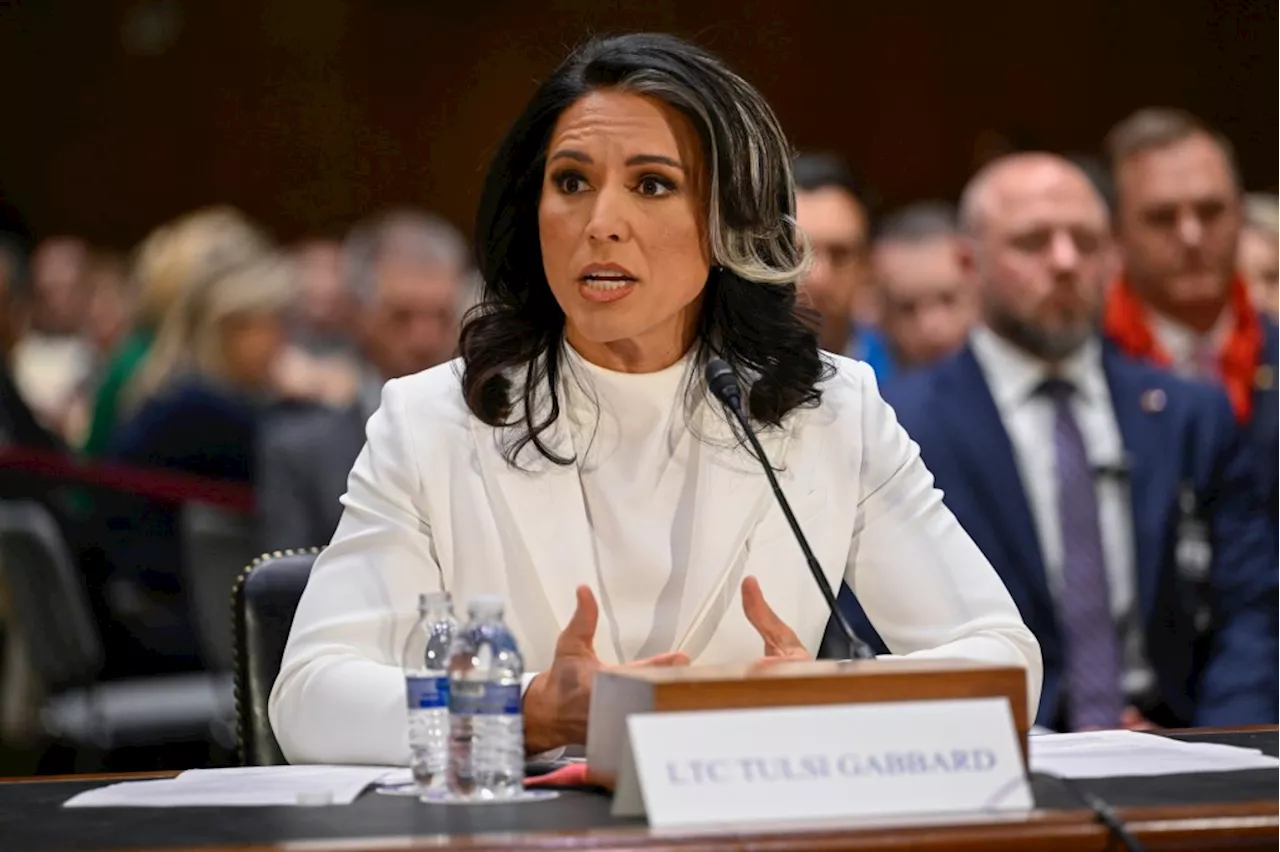 Watch live: Tulsi Gabbard testifies at national intelligence director confirmation hearing