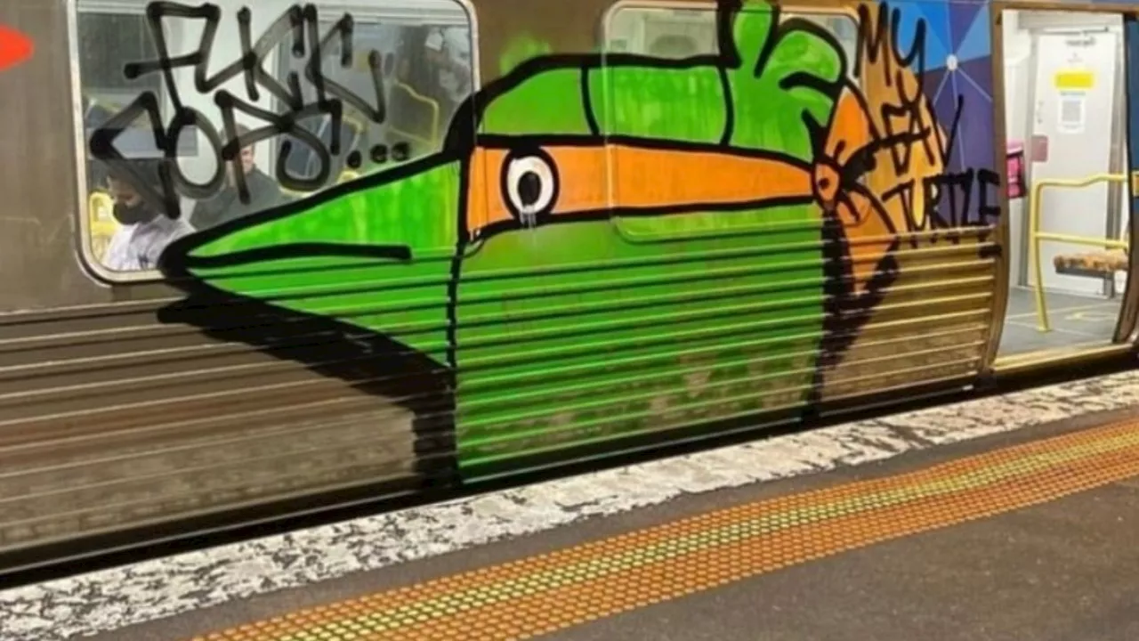 Mystery of ‘Pam the Bird’ unravelled as police charge man allegedly behind iconic graffiti