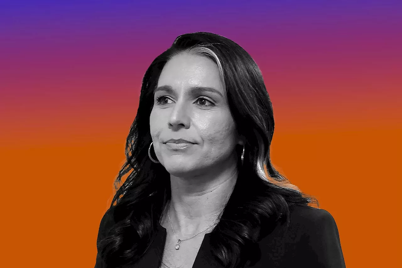 Tulsi Gabbard's Singular Political Journey