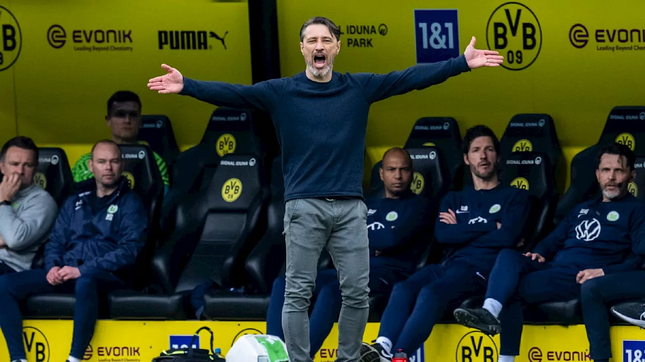 Niko Kovac wird neuer BVB-Trainer: Transfer-Poker um Lyons Star Cherki