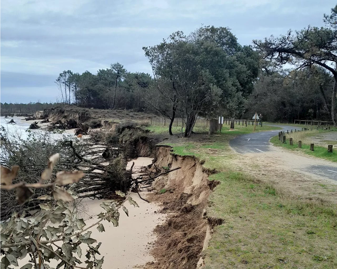 Erosion à La Tremblade : l'océan menace la Vélodyssée