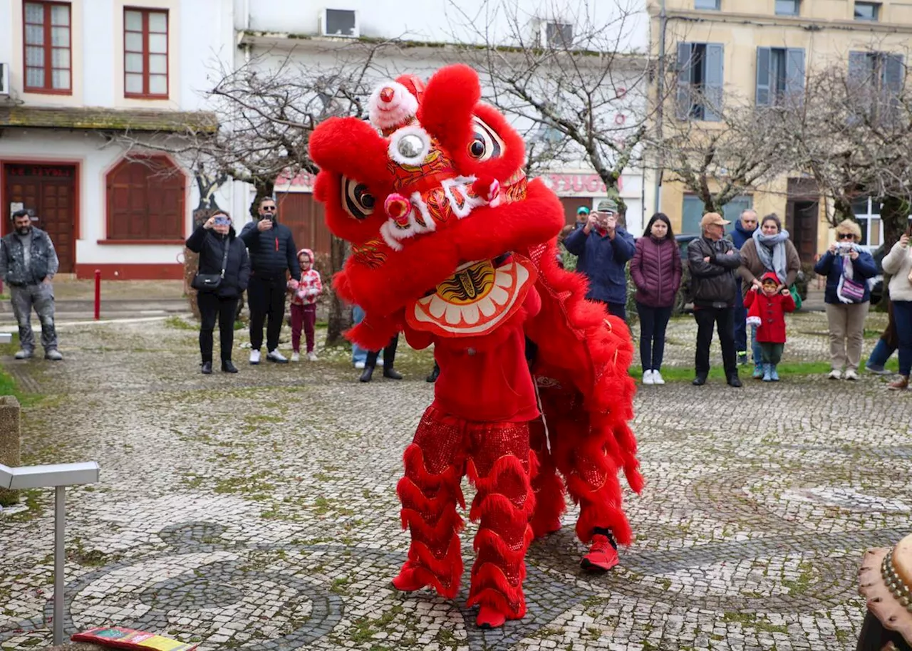 Pétards, tambours et danse du dragon : la Fête du Têt à Sainte-Livrade, une tradition venue d’Indochine