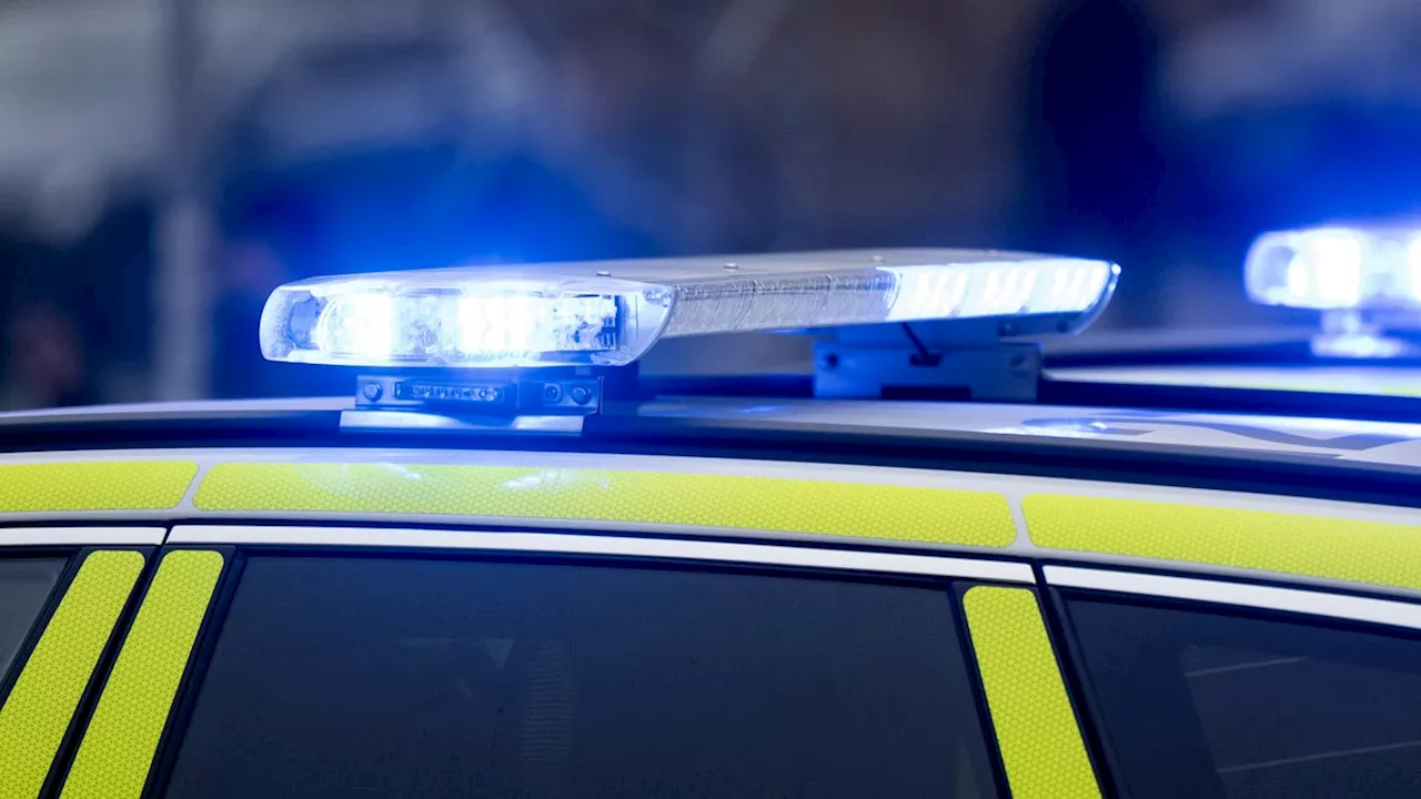 Norrman i Sverige för att döda lurades i fälla