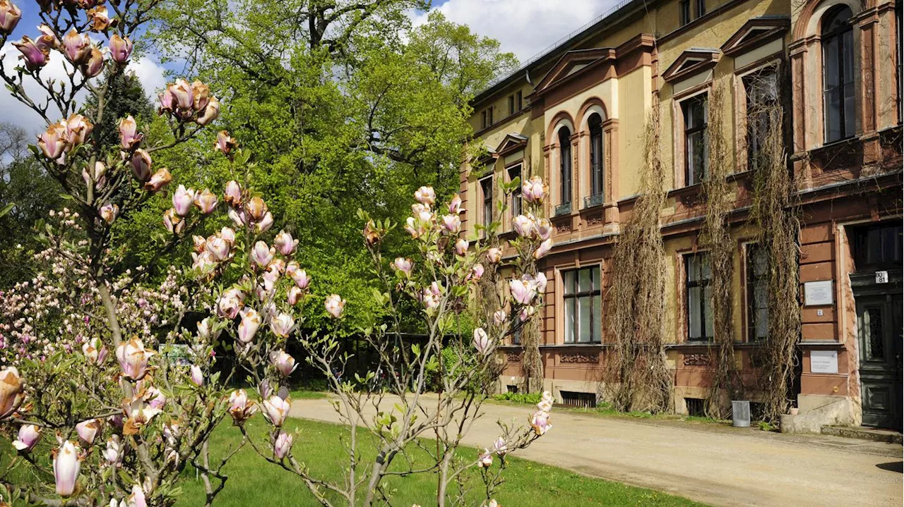 Neues Stadtquartier in Treptow-Köpenick: Naturschützer fordern Erhaltung von Freiflächen