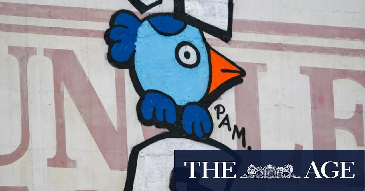 Artist Behind Melbourne 'Pam the Bird' Graffiti Charged