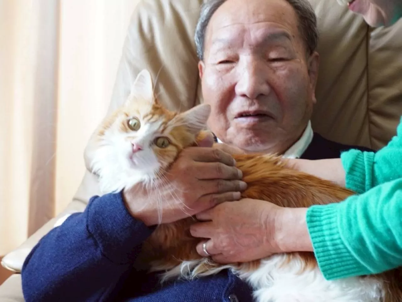Exonerated Death Row Inmate Seeks Over $1 Million in Compensation From Japan