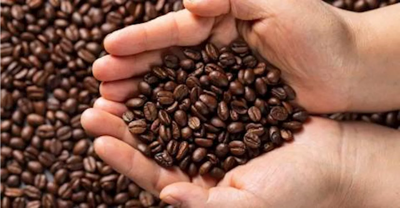 Coffee prices surge to record highs above RM15.81 per pound