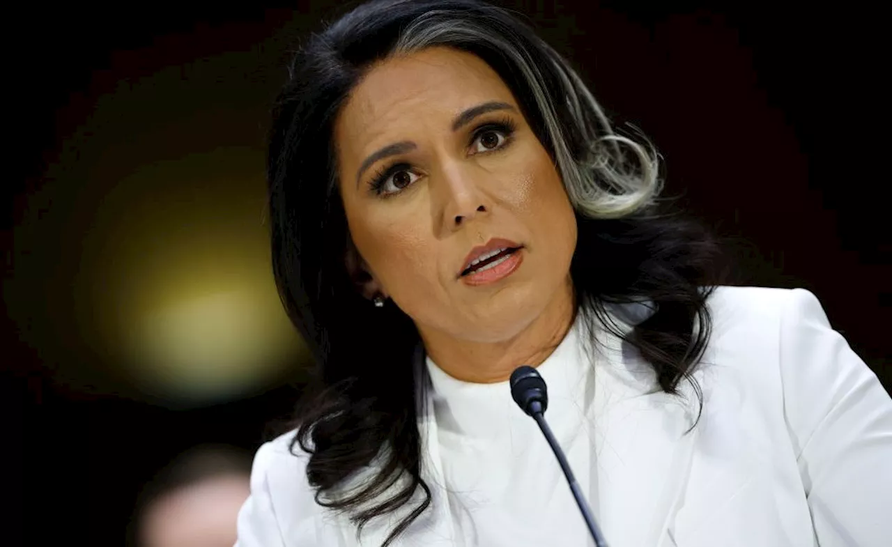 Gabbard Faces Senate Scrutiny Over Snowden Praise and Past Comments