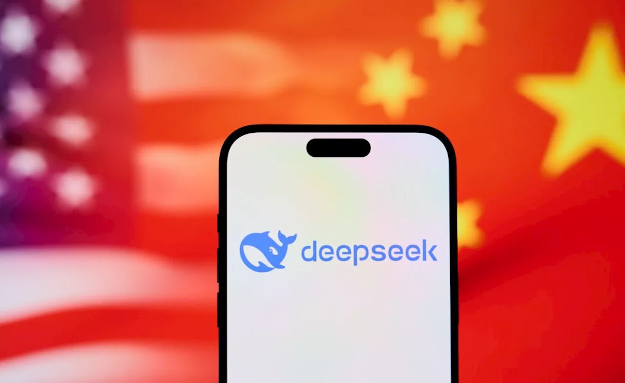 Is the DeepSeek Panic Overblown?