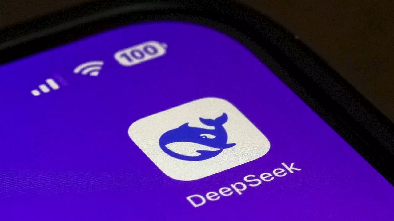 DeepSeek bloccato in Italia: Garante tutela privacy utenti