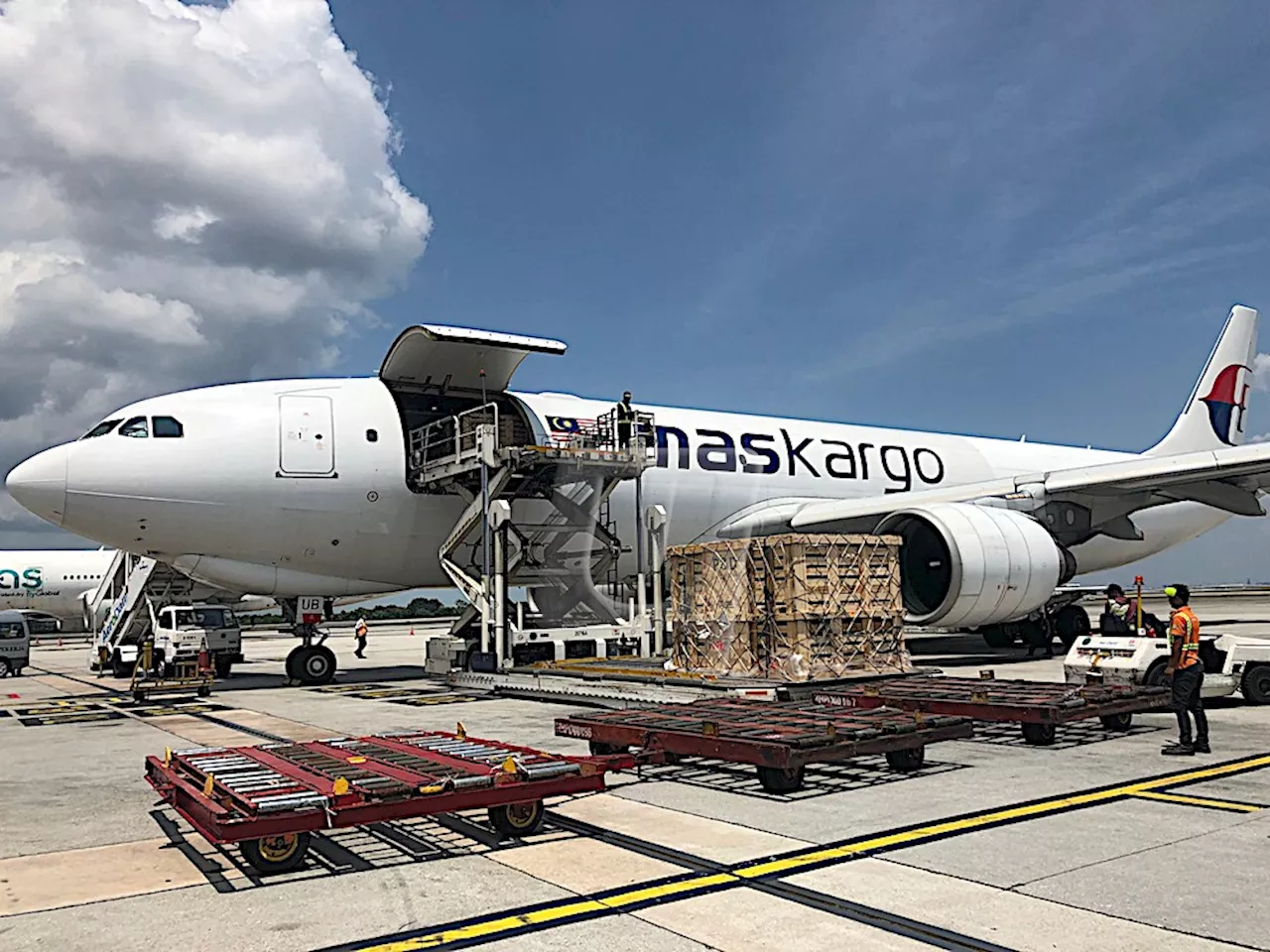 Global Air Cargo Market Records New High in 2024