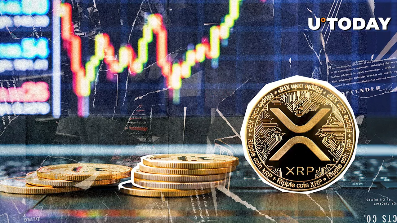 XRP Surges 500% and Catches the Eye of Top Trader Jacob Canfield