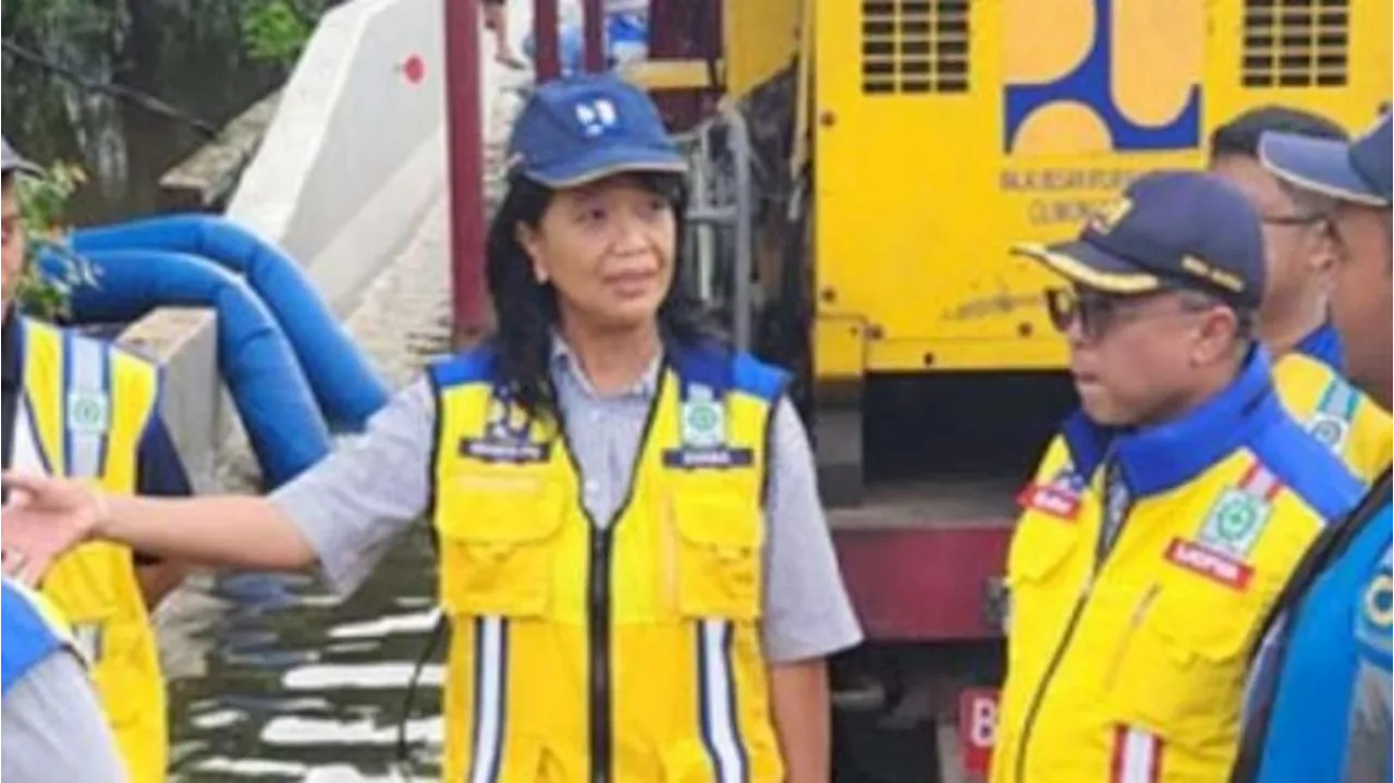 Banjir di Tol Sedyatmo, Wamen PU Pastikan Segera Berfungsi Normal