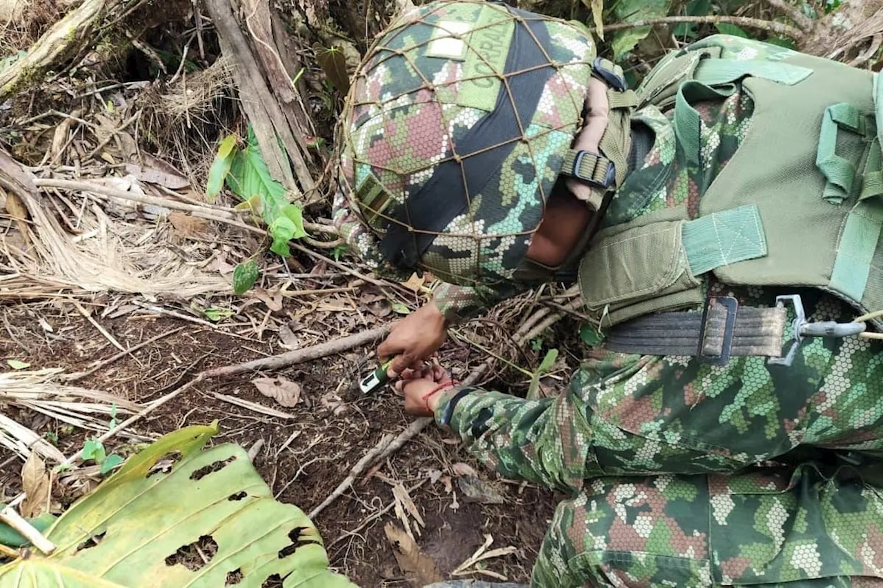 Destruyen en Cauca explosivos y minas utilizados por las disidencias para proteger cultivos ilícitos