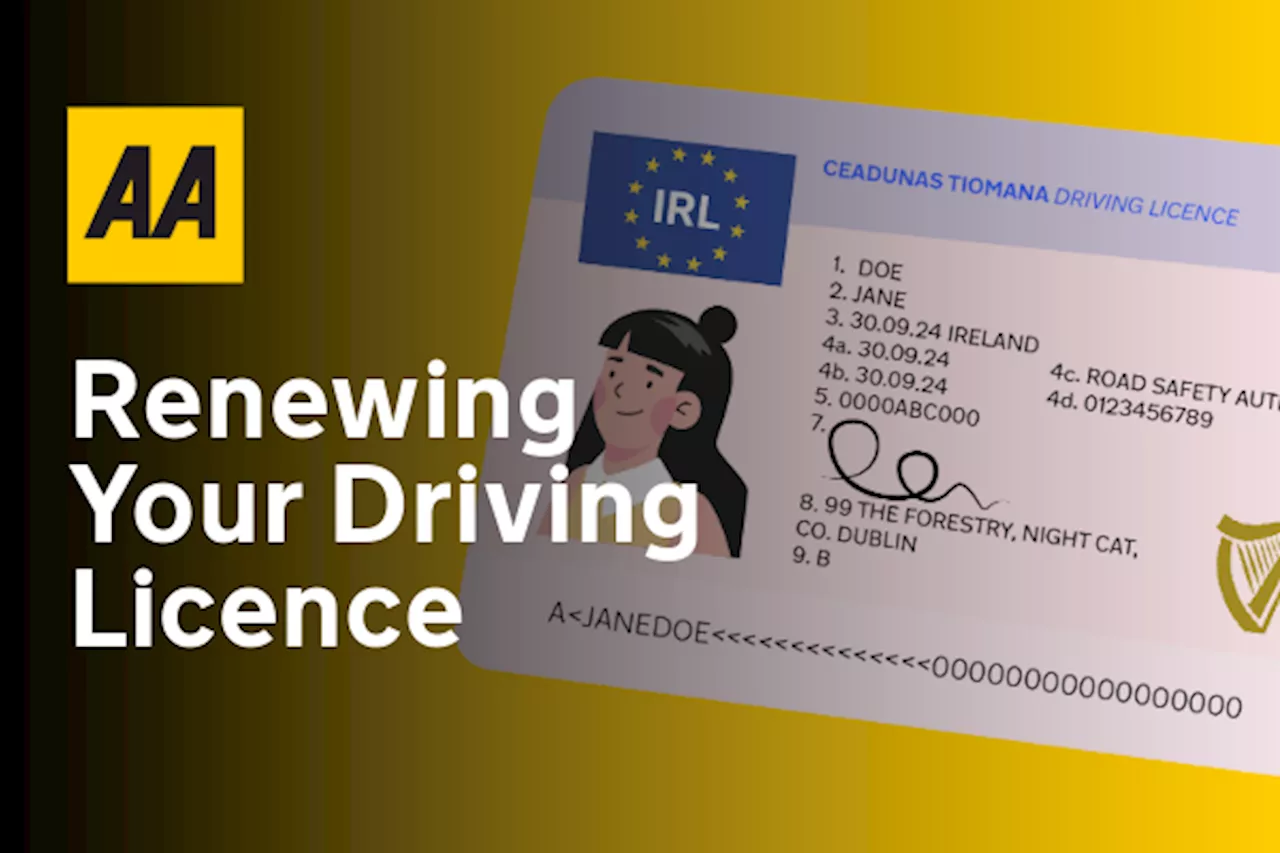 Navigating the Driving Licence Renewal Process