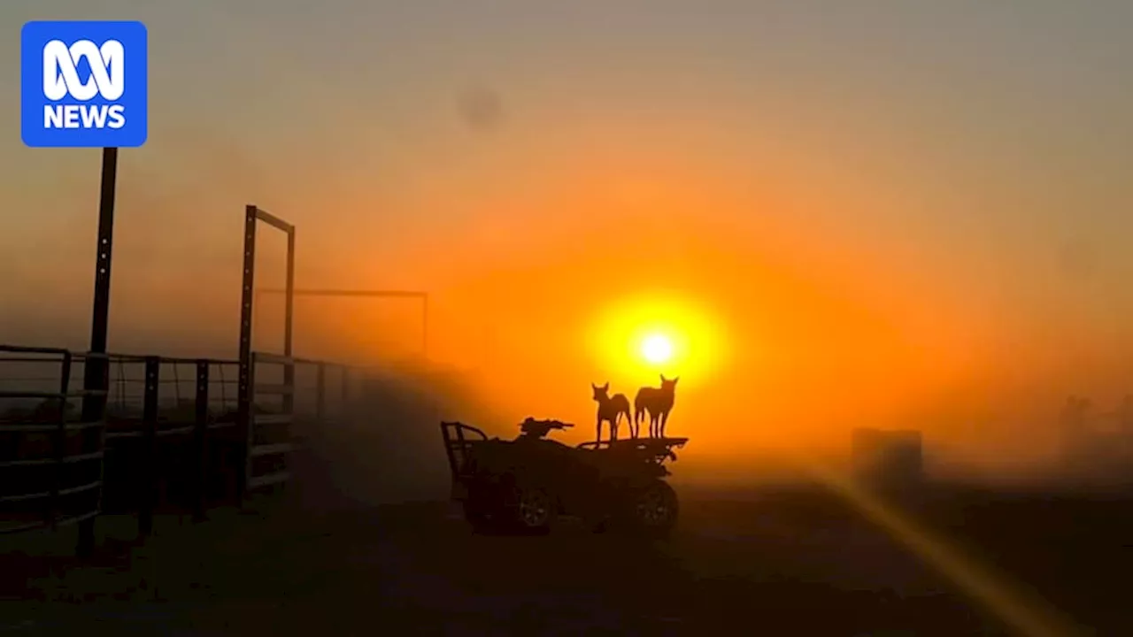 'Baking' heat to reach southern states on weekend as 'intensely heavy rainfall' hits north Queensland