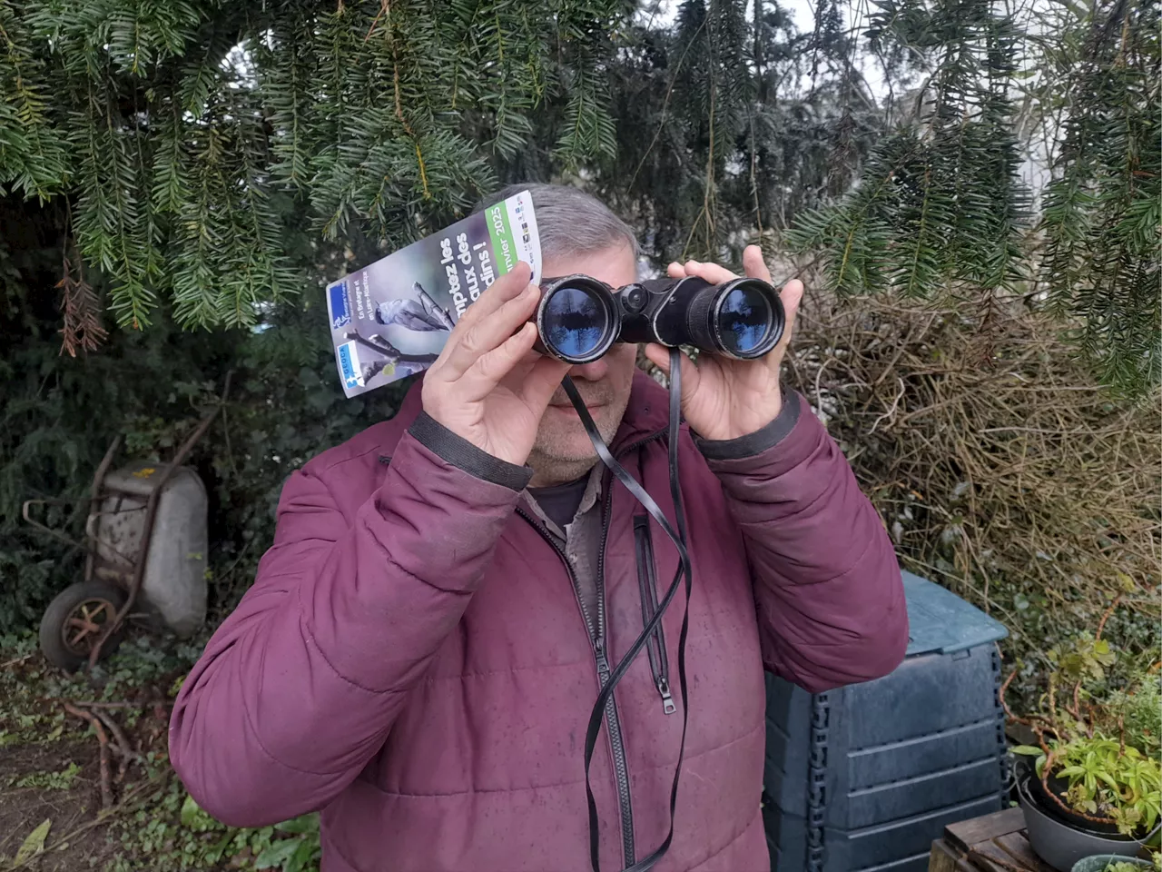 Un ornithologue amateur compte les oiseaux de son jardin