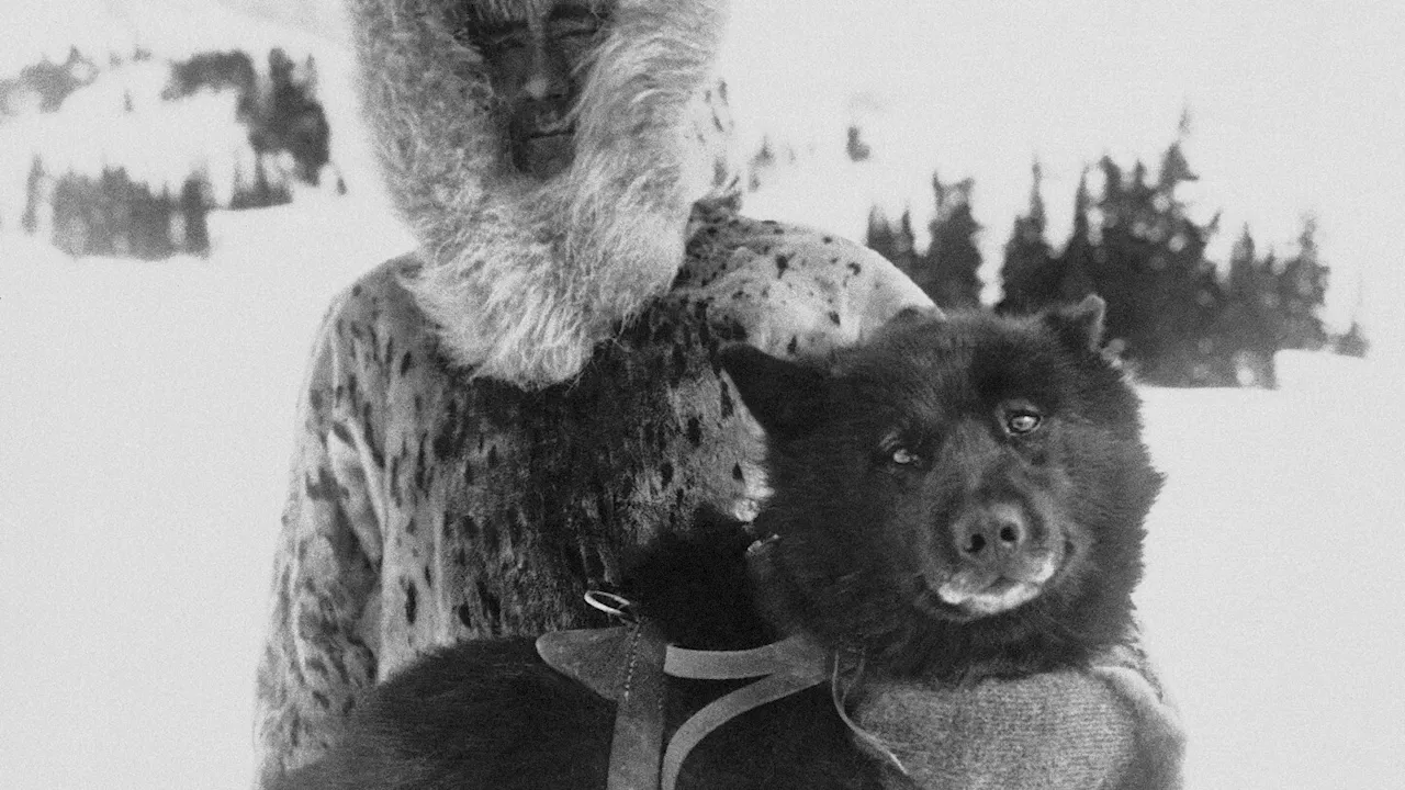 Mushers and dogs braved a horrific Alaska winter to deliver lifesaving serum 100 years ago