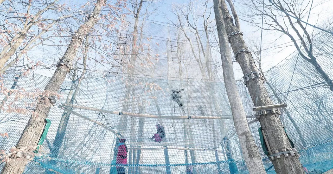 Ontario's Hidden Gem: A Treetop Adventure Park Filled With Trampolines and Netted Pathways