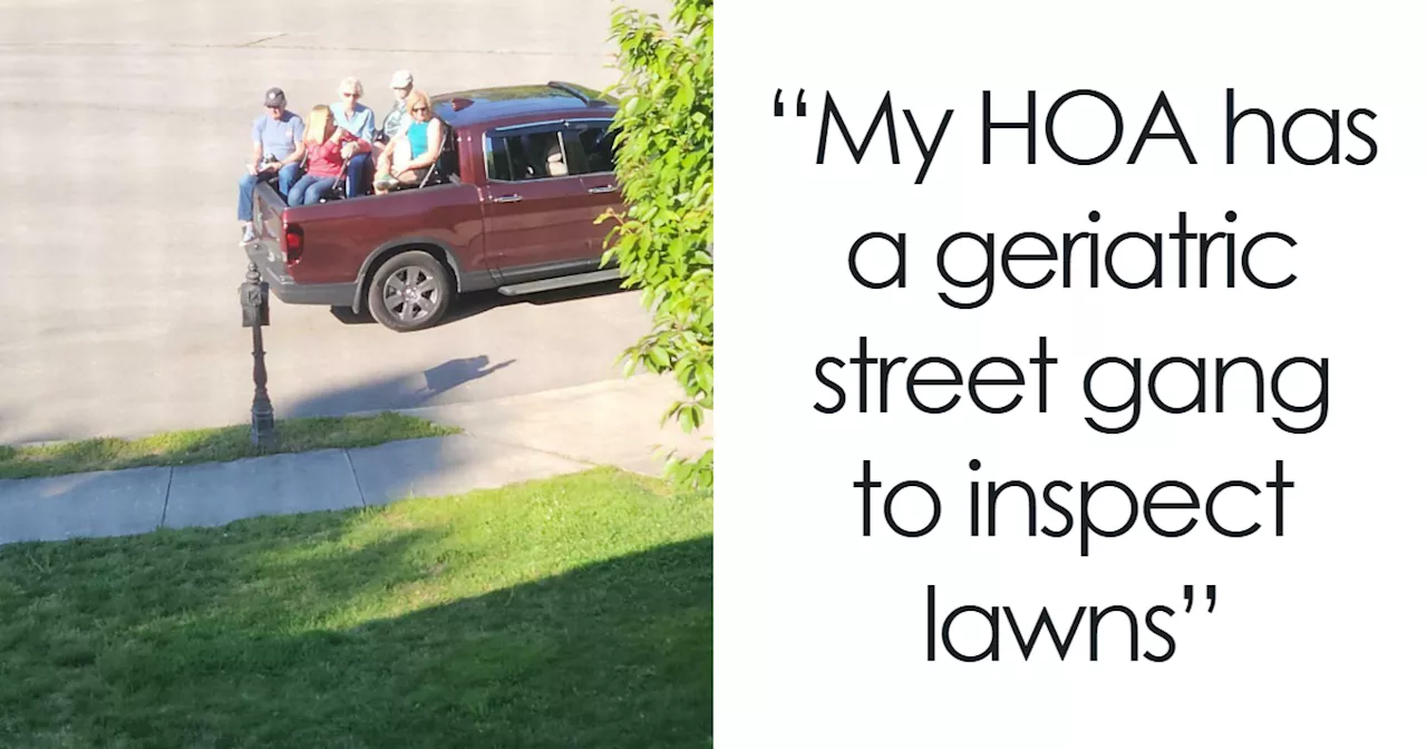 HOA Gone Wild: Black House Ban, Overgrown Bush Tyranny, and More!