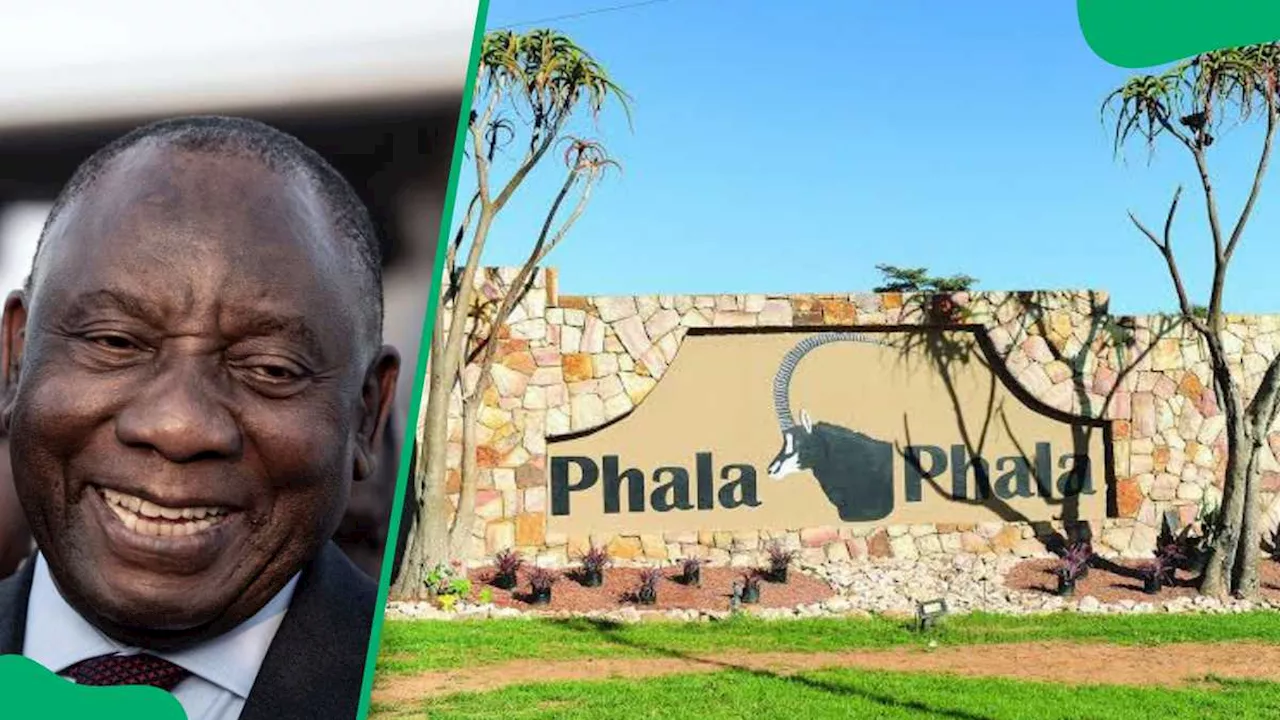 Phala Phala Scandal Rocks South Africa