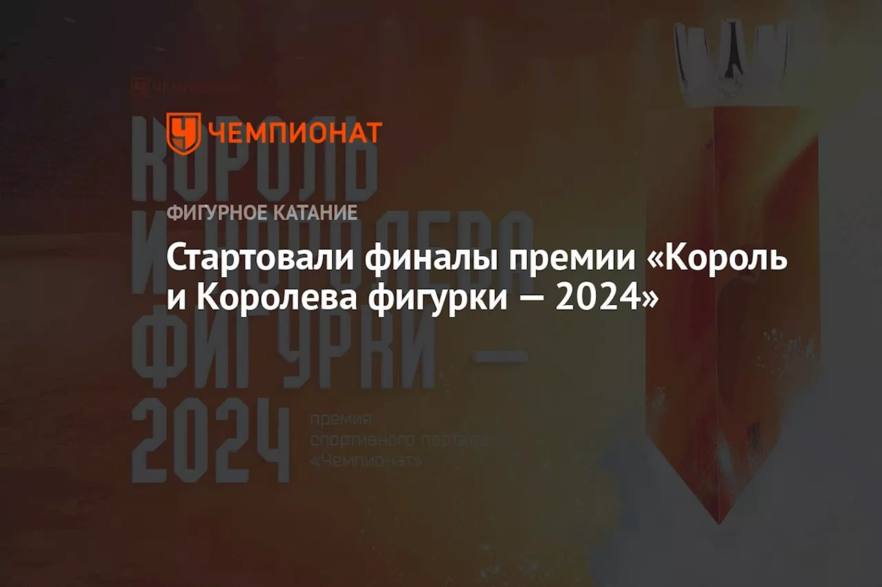 Стартовали финалы премии «Король и Королева фигурки — 2024»