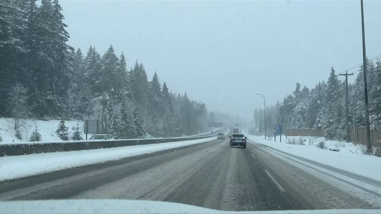 Snow and ‘wintery conditions’ expected for parts of Vancouver Island on Thursday